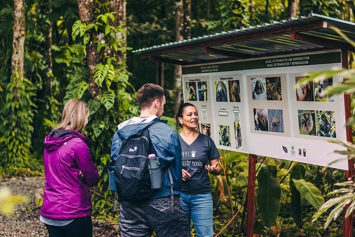 La Fortuna Sloth Sanctuary Tour: Guided Sloth & Wildlife Viewing