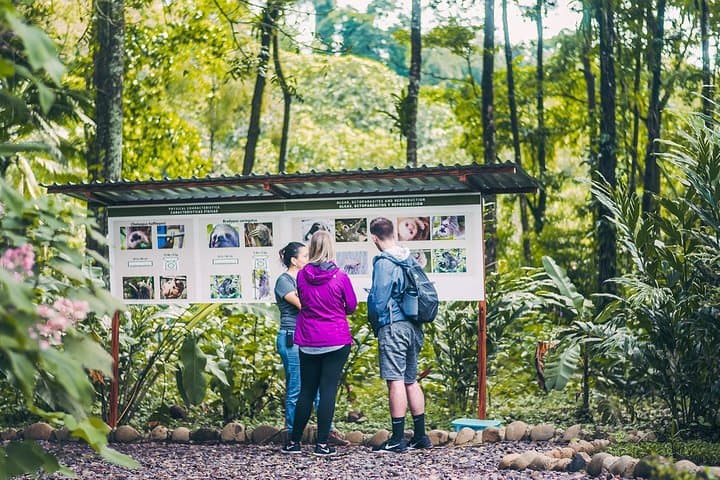 La Fortuna Sloth Sanctuary Tour: Guided Sloth & Wildlife Viewing photo 2