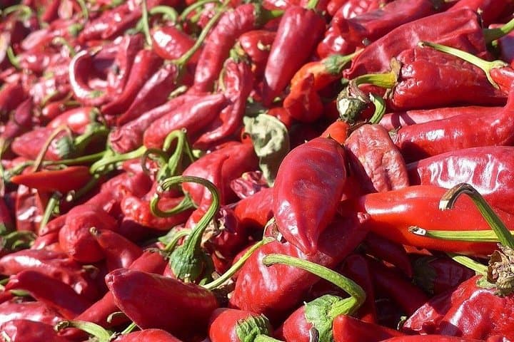 Szeged Day Trip from Budapest: Paprika Mill, Szeged Dom & Tisza River photo 5