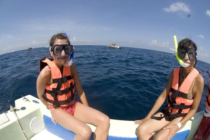 Swim with Whale Sharks in Cancun: Small-Group Snorkel Adventure photo 4