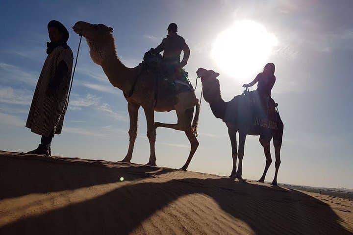Overnight Sahara Camel Trekking in Erg Chebbi: Merzouga Camp Experience