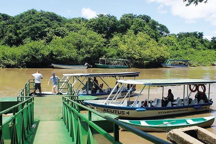 Tempisque River Wildlife Boat Safari & Ranch Cultural Experience from Tamarindo photo 3