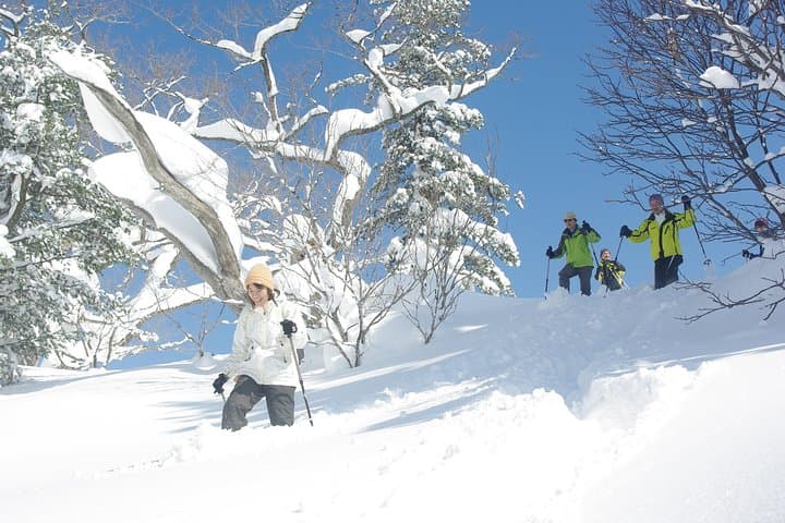 Goshougake Oyunuma Snowshoeing: Fluffy New Snow & Steaming Fumaroles at 1,000m photo 3