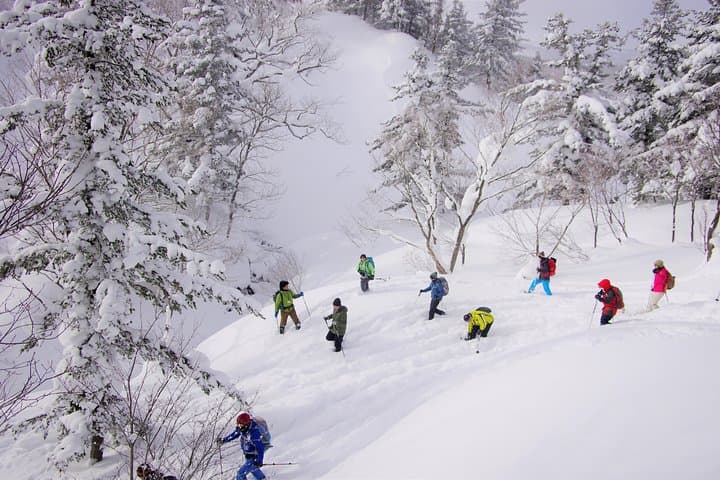 Goshougake Oyunuma Snowshoeing: Fluffy New Snow & Steaming Fumaroles at 1,000m photo 4