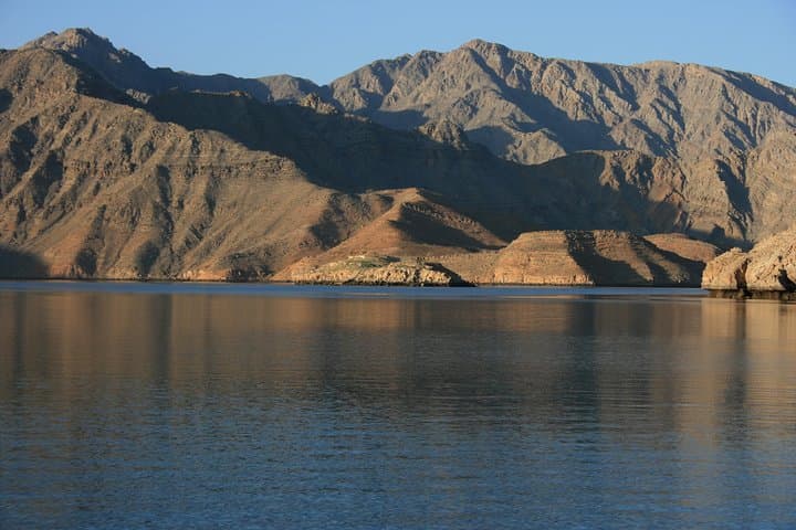 Half-Day Dolphin Watching Dhow Cruise in Musandam Fjords photo 4