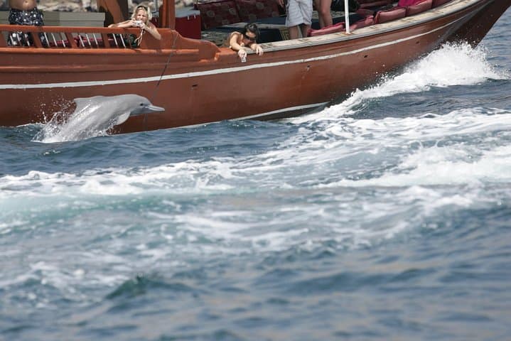 Half-Day Dolphin Watching Dhow Cruise in Musandam Fjords photo 5
