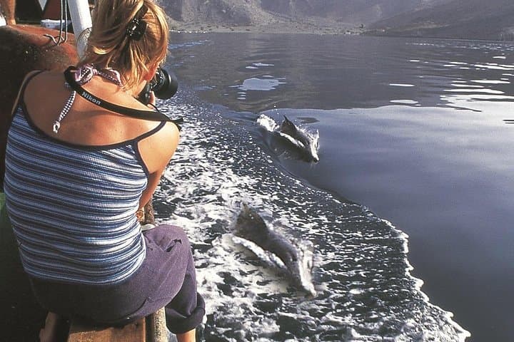 Half-Day Dolphin Watching Dhow Cruise in Musandam Fjords photo 6