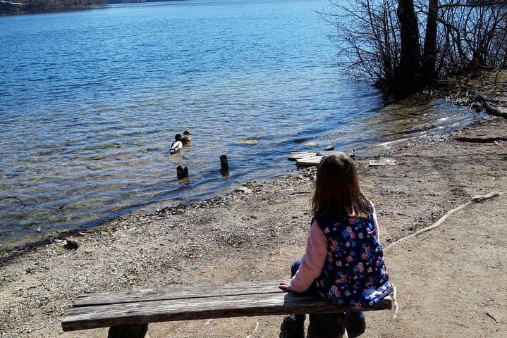 Zadar to Plitvice Lakes National Park — Full-Day Guided Tour with Pre-Booked Tickets photo 5