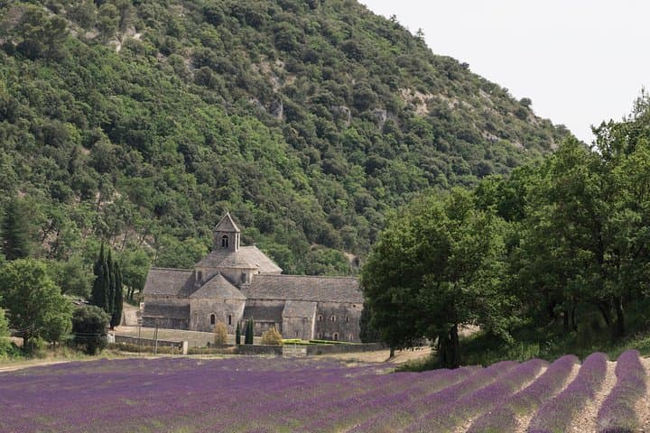 Luberon Lavender Fields Half-Day Tour from Avignon photo 4
