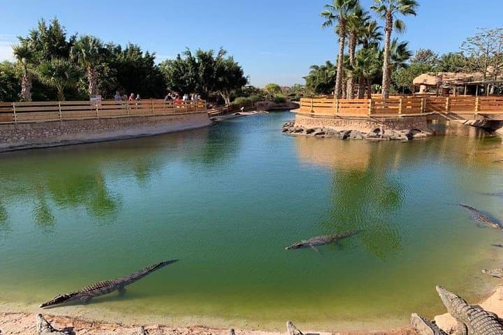 Explore Crocoparc Agadir: Nile Crocodiles, Botanical Gardens & Transfer