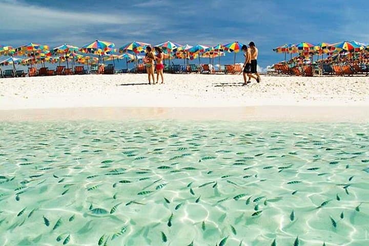Raya Island Day Trip: Snorkel Racha Yai, Raya Noi & Dolphin Search from Phuket photo 2