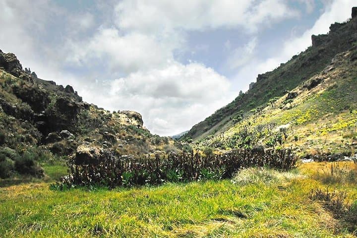 3-Day Mt. Elgon Hike and Sipi Falls Adventure: Trails, Views & Local Culture