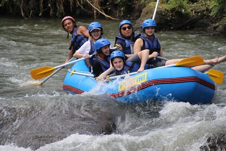 Ayung River Rafting from Ubud: 13km Jungle Whitewater Adventure in Bali photo 6