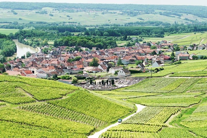Champagne Day Trip from Paris — Reims, Vineyards & 6 Tastings photo 3