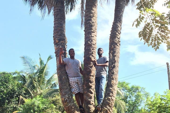 Aburi & Boti Falls Day Trip: Botanical Gardens, Twin Waterfalls & Local Culture photo 2