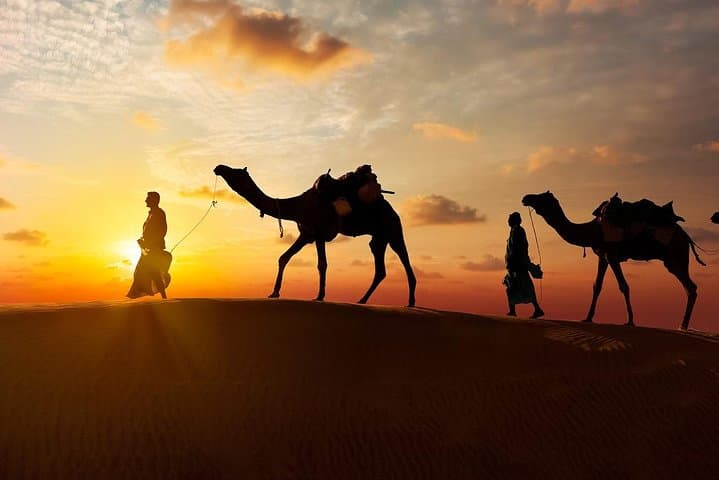Dubai Evening Desert Safari: Dune Bashing, Camel Rides & BBQ Under the Stars photo 6