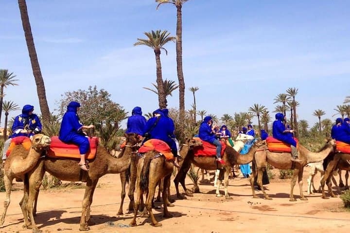 Camel Trek in Marrakech Palmeraie: Palm-Grove Ride & Moroccan Tea Break photo 2