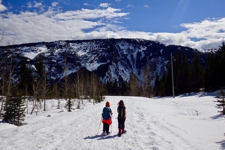 Ještěd Winter Snowshoeing from Prague — Guided Full-Day Mountain Adventure photo 3