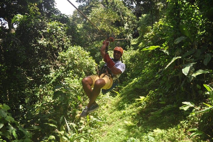 La Carpintera Zip Line & Rappel Canopy Tour — Half-Day from San José