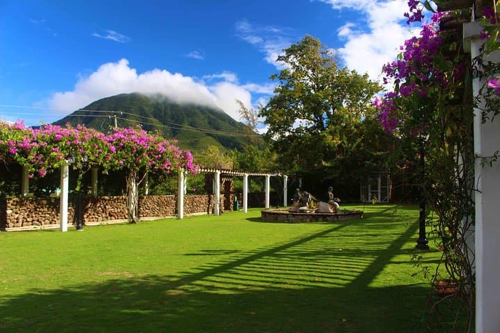 Nevis Airport Transfers: Seamless Round-Trip Service to Montpelier, Four Seasons & Nisbet photo 5