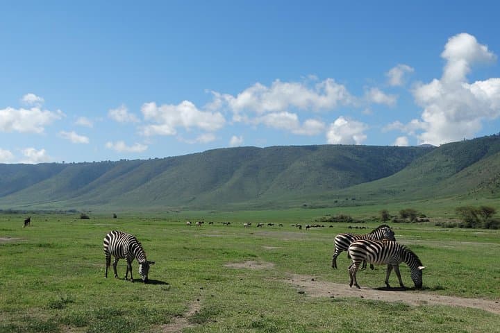 2-Day Safari from Arusha: Tarangire & Ngorongoro Crater Wildlife Adventure photo 2