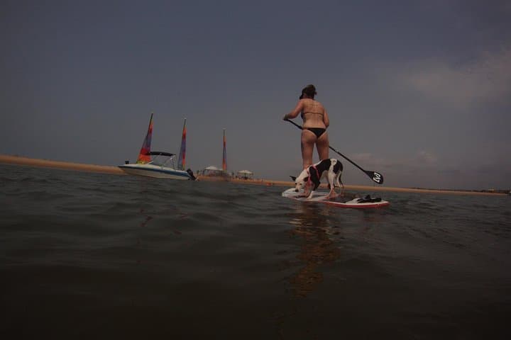 Stand Up Paddle at Mussulo Island Lingua — Luanda SUP Tour photo 2