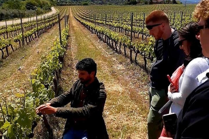 Private Tuscan Wine Safari — Off‑Road Land Rover Tour & Lunch in Chianti photo 6