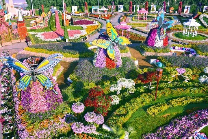 Evening at Dubai Miracle Garden & Global Village — Tickets with Private Transfer photo 3