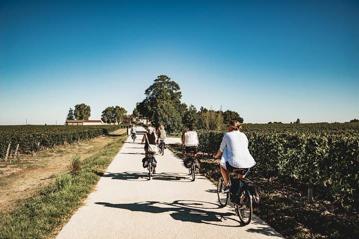Saint-Émilion Electric Bike Wine Tour: Châteaux, Tastings & Picnic