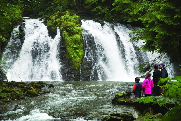 Juneau Gold Creek Salmon Bake: Wild Alaskan Salmon Dinner & Gold Panning photo 5