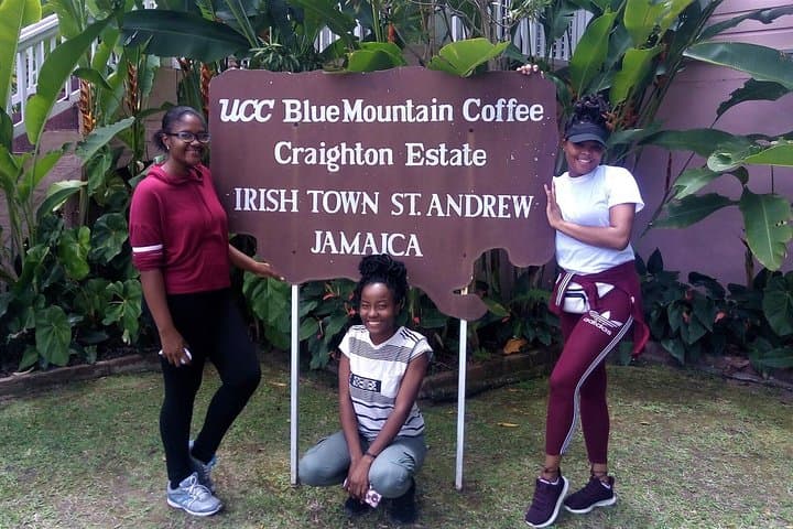 Craighton Blue Mountain Coffee Tasting & Farm Tour — From Port Royal photo 2
