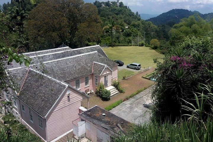 Craighton Blue Mountain Coffee Tasting & Farm Tour — From Port Royal photo 4