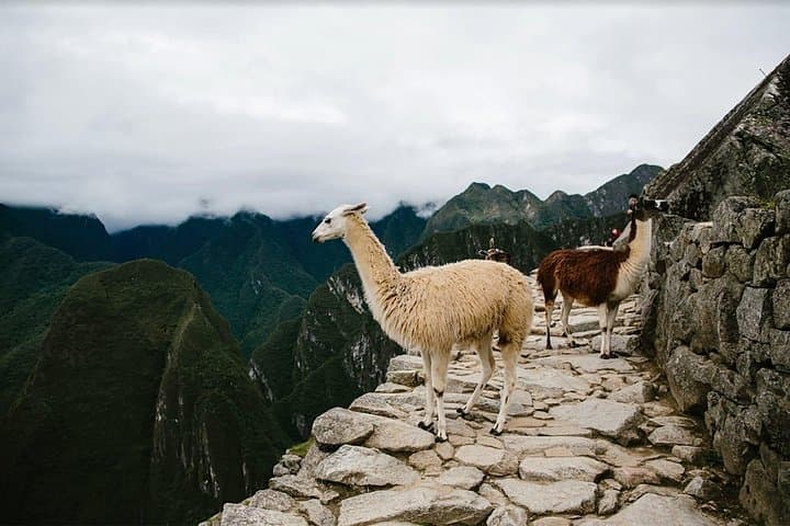 2-Day Short Inca Trail Hike to Machu Picchu: Sun Gate Sunrise Experience photo 4