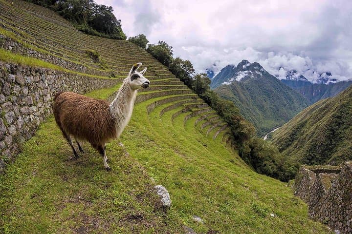 2-Day Short Inca Trail Hike to Machu Picchu: Sun Gate Sunrise Experience photo 3