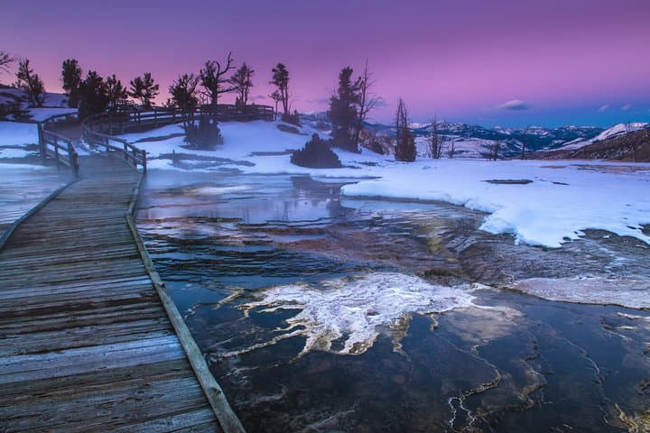 Yellowstone Winter Wolf Safari: 4-Day Wildlife Tour from Bozeman photo 6