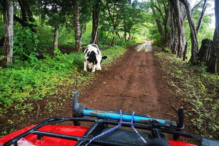 Papagayo ATV Adventure: 2-Hour Off‑Road Tour from Riu & Secrets photo 3
