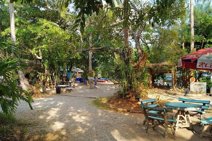 Half-Day Sea Kayaking in Ao Thalane Bay from Krabi — Mangrove Canyons & Crocodile Cave photo 3