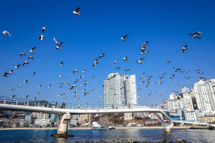 Busan Korean BBQ and Oryukdo Skywalk Tour — Markets, Coastal Views & Local Eats photo 4