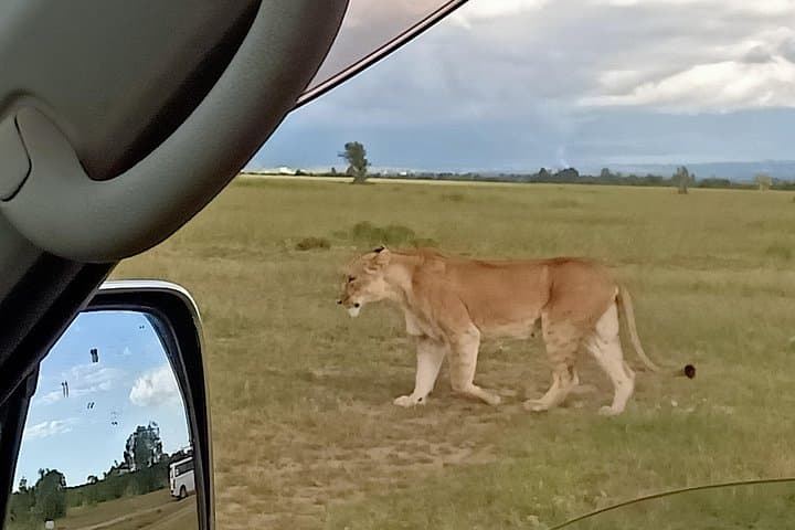 Tsavo Explorer Safari — 2-Day Game Drives to See Red Elephants & Voi Lodge photo 3