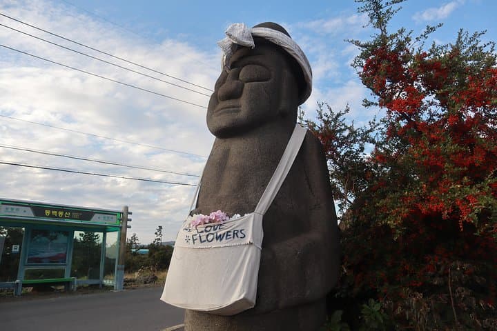 Customizable Private Taxi Tour of Jeju Island: Tailor a Day of Volcanoes, Coastlines and Culture photo 5