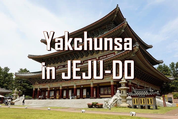 Customizable Private Taxi Tour of Jeju Island: Tailor a Day of Volcanoes, Coastlines and Culture