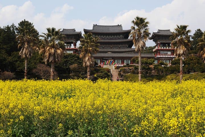 Customizable Private Taxi Tour of Jeju Island: Tailor a Day of Volcanoes, Coastlines and Culture photo 2