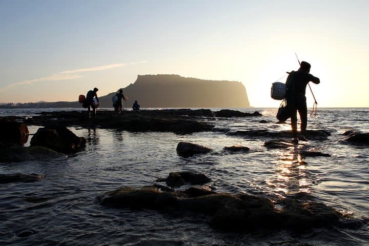 Customizable Private Taxi Tour of Jeju Island: Tailor a Day of Volcanoes, Coastlines and Culture photo 4