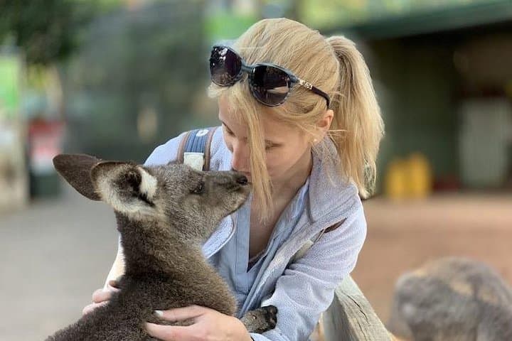 Blue Mountains Full-Day Tour: Three Sisters, Scenic World & Featherdale Wildlife photo 3