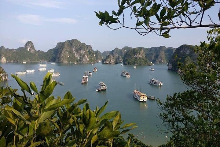 Halong Bay One-Day Tour from Hanoi: Sung Sot Cave, Ti Top & Kayak photo 3