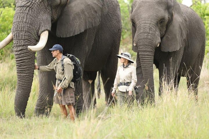 3-Day Samburu Big Five Safari: Samburu National Reserve Guide