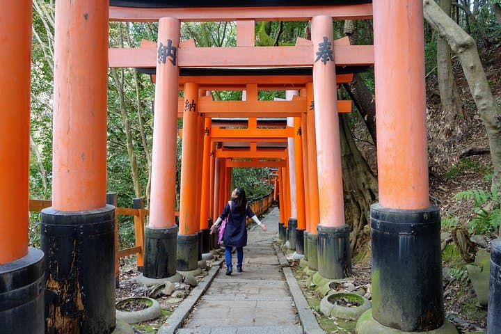 Explore Japan in 12 Days: Small-Group Cultural Tour from Tokyo to Kyoto photo 1
