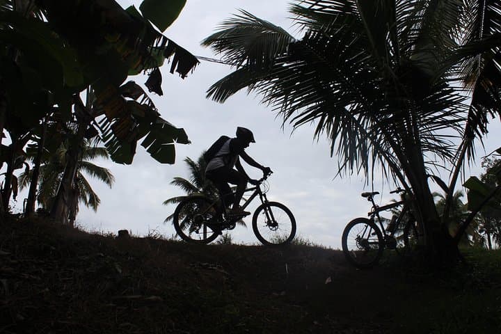 Sunset Coastal Bike Ride in Alappuzha: Lighthouse, Markets & Beaches