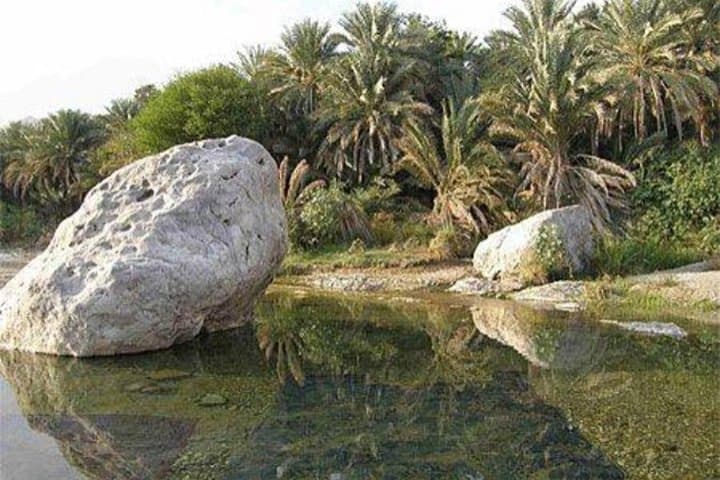 Wadi Bani Khalid: Exploring Oman's Blue Pools and Rocky Gorges photo 6
