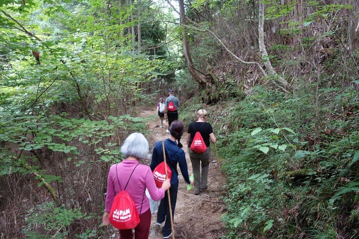 Highlights of Japan: 10-Day Small-Group Cultural & Scenic Tour photo 6